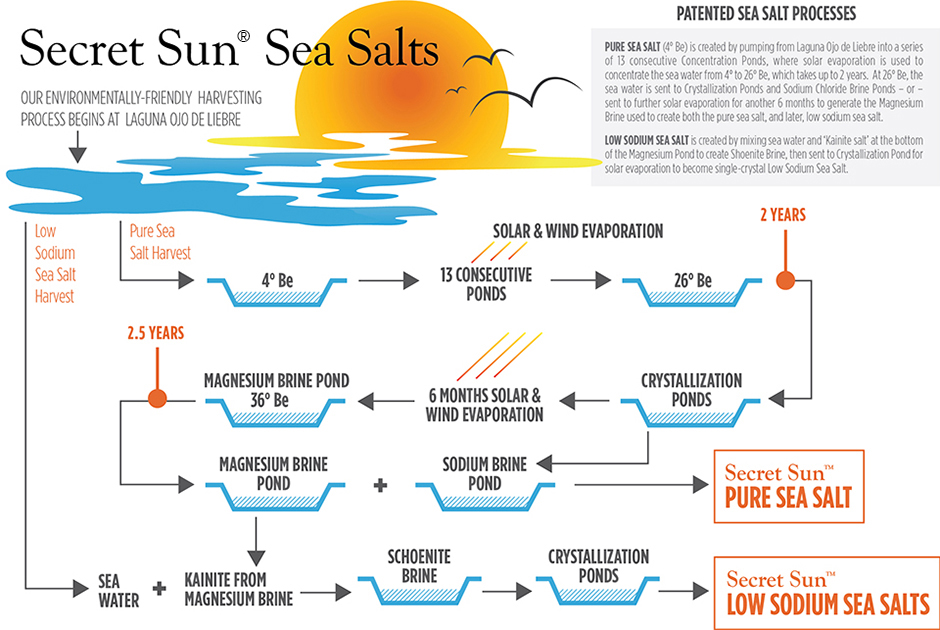 A Sea Salt Process like no Other Secret Sun Salt